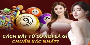 Kinh nghiệm bắt lô rơi